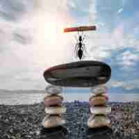 cdn系‍统​架‍构﻿